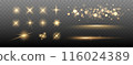 Set of Shine glowing stars. Vector Golden Sparks isolated. 116024389