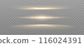 Set of Shine glowing stars. Vector Golden Sparks isolated. 116024391