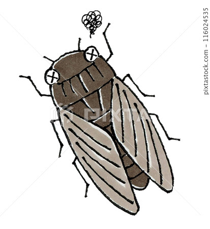 A dying cicada 116024535