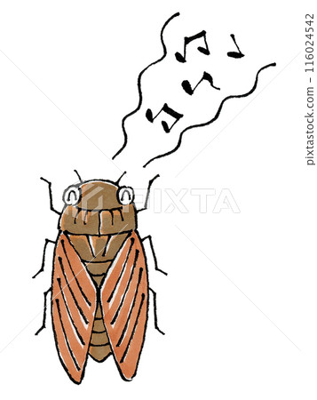 Brown cicadas chirping happily Brown cicadas chirping happily 116024542
