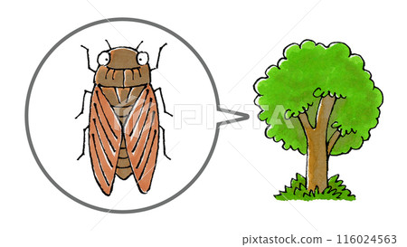 Abrazemi and trees 116024563