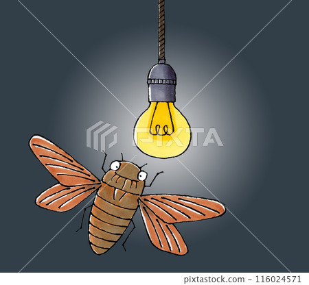 A brown cicada flying towards a light bulb A brown cicada flying towards a light bulb 116024571