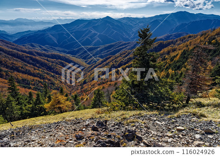 View of autumn foliage on the mountainside and Mt. Kurogane and Mt. Kokushigatake from the Okuchichibu Trail 116024926
