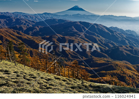 從奧秩父橫貫路線看到的富士山和秋天的風呂雷山 116024941
