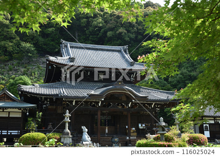 The main hall of Mimuroto Temple is surrounded by greenery 116025024
