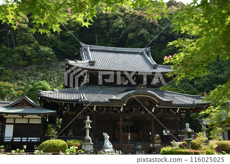 綠樹環繞的三室戶寺正殿 綠樹環繞的三室戶寺正殿 116025025