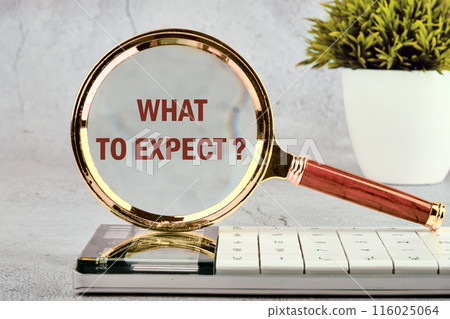 Business concept. What Do You Expect question on the glass of a magnifying glass in front of a gray wall, background 116025064