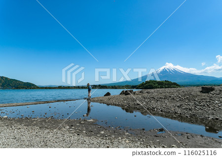 從河口湖看到美麗的富士山 從河口湖看到美麗的富士山 116025116