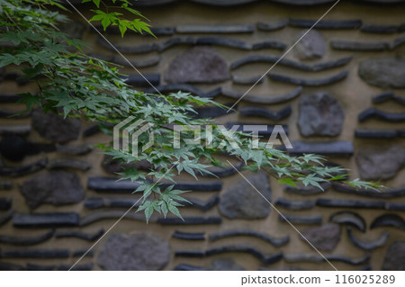 Rakusuien Rakusuien 116025289