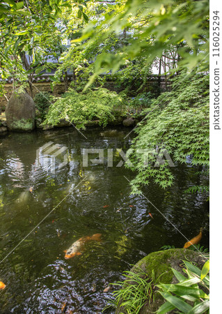 Rakusuien Rakusuien 116025294