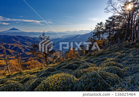 Mt. Fuji seen from Mt. Koreyama on the Okuchichibu Trail in autumn 116025464