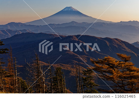 Mount Fuji at dusk as seen from Mount Koreyama in Okuchichibu Mount Fuji at dusk as seen from Mount Koreyama in Okuchichibu 116025465
