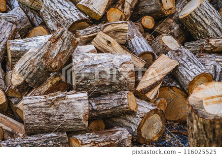 A mountain of logs 116025525