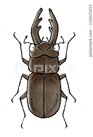 鍬蟲(雄性) 鍬蟲(雄性) 116025913