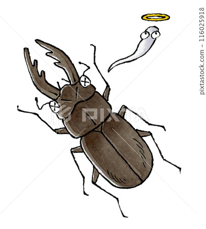 死鍬蟲(雄性) 死鍬蟲(雄性) 116025918