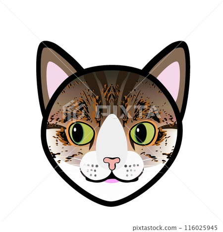 虎貓臉的插圖 116025945