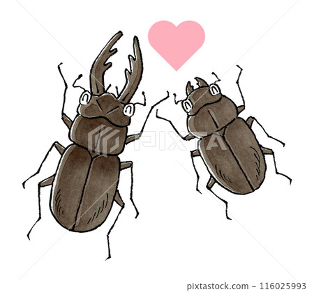 鍬蟲夫婦 鍬蟲夫婦 116025993