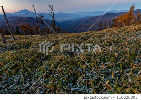 Mount Fuji at dawn as seen from Mount Koreyama on the Okuchichibu Main Ridge Trail 116026005