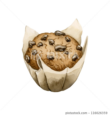 Chocolate chip muffin in baking paper. Sweet dessert. Watercolor food illustration hand painted isolated on white background with fresh pastry for cooking book, cafe menu, table textile, packages Chocolate chip muffin in baking paper. Sweet dessert. Watercolor food illustration hand painted isolated on white background with fresh pastry for cooking book, cafe menu, table textile, packages 116026359