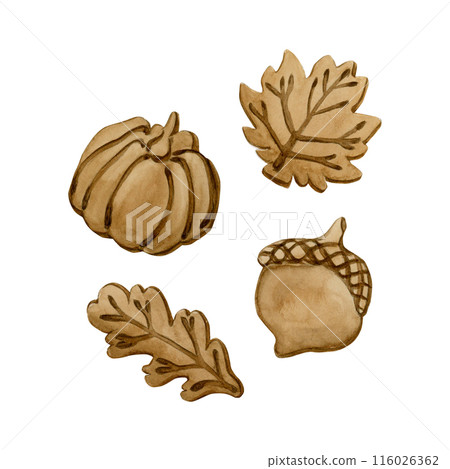 Autumn leaves, pumpkin and acorn cookies. Leafy crust for Thanksgiving Pumpkin Pie. Watercolor food illustration hand painted isolated on white background for cooking book, cafe menu, table textile Autumn leaves, pumpkin and acorn cookies. Leafy crust for Thanksgiving Pumpkin Pie. Watercolor food illustration hand painted isolated on white background for cooking book, cafe menu, table textile 116026362