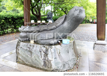 金剛寺的繡球花（兵庫縣三木市） 116026691