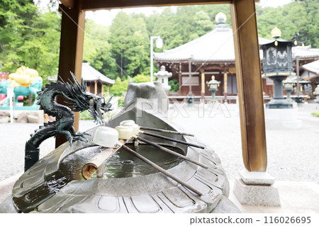 Hydrangeas at Kongoji Temple Chozuya (Miki City, Hyogo Prefecture) 116026695