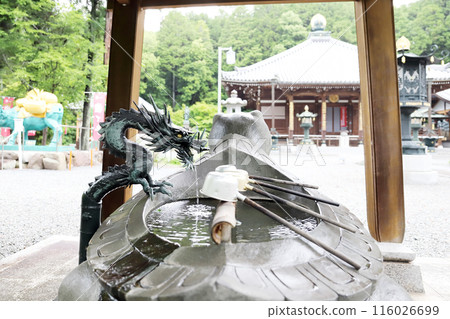 Hydrangeas at Kongoji Temple Chozuya (Miki City, Hyogo Prefecture) 116026699