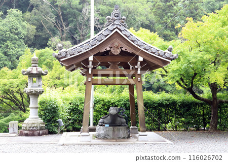 金剛寺的繡球花（兵庫縣三木市） 116026702