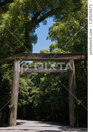 名古屋市熱田區神社鳥居 116026873