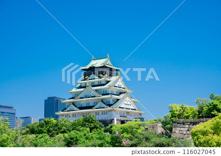 Fresh green Osaka Castle Fresh green Osaka Castle 116027045