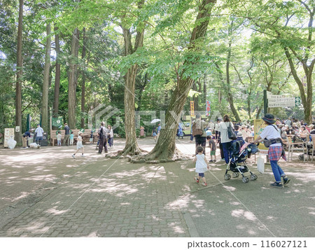Inokashira Park Zoo in May Inokashira Park Zoo in May 116027121