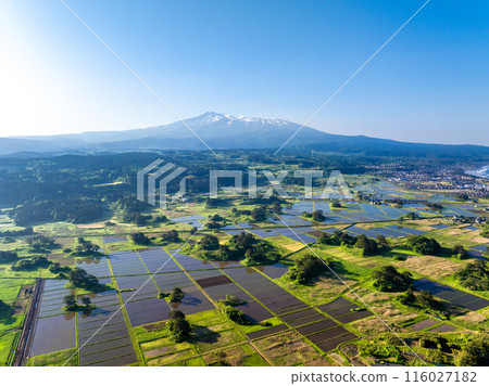 Mt. Chokai and Kujukushima in the early morning (Nikaho City, Akita Prefecture) Mt. Chokai and Kujukushima in the early morning (Nikaho City, Akita Prefecture) 116027182