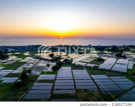 The Sea of Japan and Kujukushima Islands at sunset (Nikaho City, Akita Prefecture) The Sea of Japan and Kujukushima Islands at sunset (Nikaho City, Akita Prefecture) 116027184