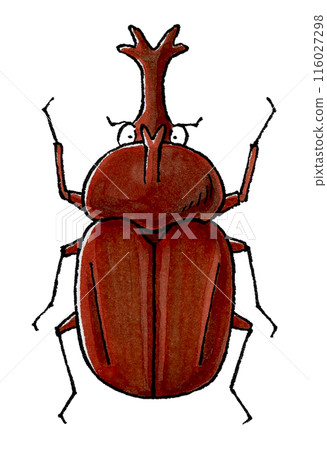 甲殼蟲（雄性） 116027298