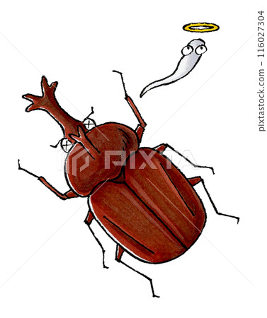 Dead beetle (male) Dead beetle (male) 116027304
