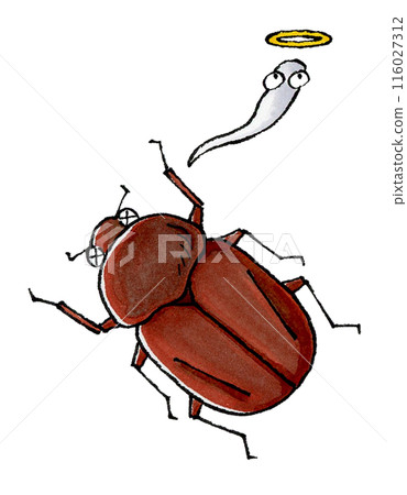 Dead female beetle Dead female beetle 116027312