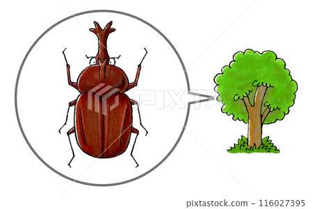 Beetle and tree Beetle and tree 116027395