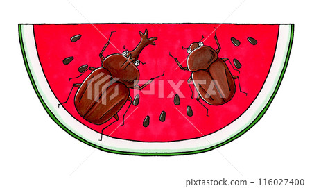 Beetle and watermelon Beetle and watermelon 116027400