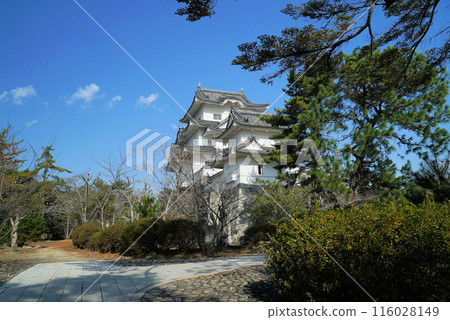 上野公園和上野城，秋葉美麗 116028149