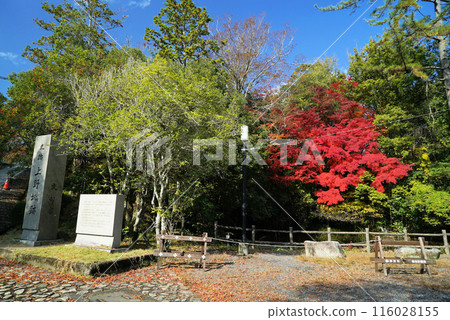 上野公園和上野城，秋葉美麗 116028155