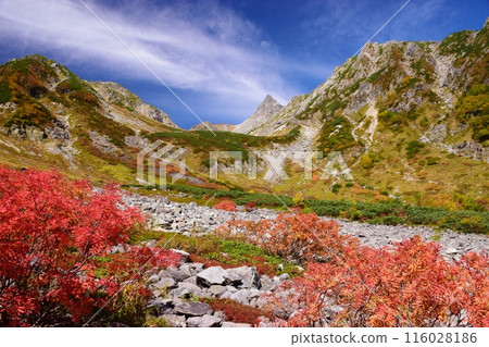 Glacier Park in autumn and colored leaves 116028186