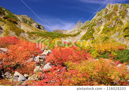 秋天和色的葉子的冰川公園 116028203