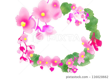 Begonia flower card 1 Begonia flower card 1 116028662