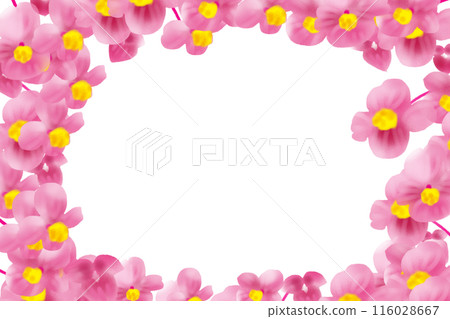 Begonia flower card 6 116028667