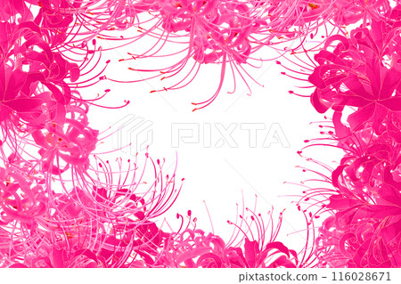 Licorice flower card 3 Licorice flower card 3 116028671