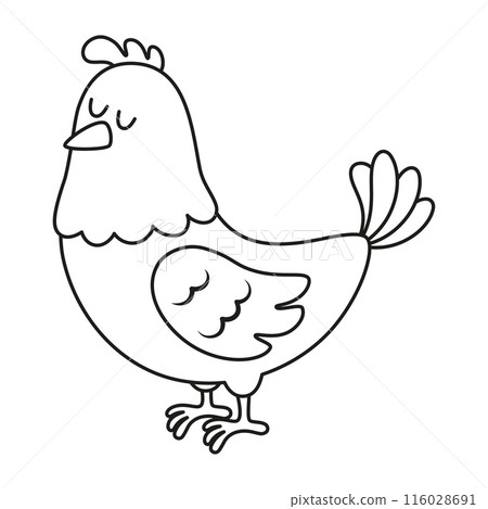 cartoon outline hen isolated cartoon outline hen isolated 116028691