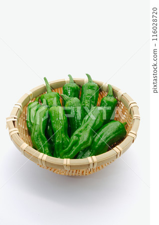夏季蔬菜shishito辣椒 116028720