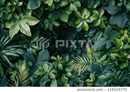 canvas unfolds in a riot of foliage, beauty of leaves and plants canvas unfolds in a riot of foliage, beauty of leaves and plants 116028770