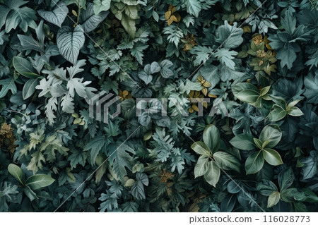 Canvas revealing the riot of foliage, showcasing plant beauty Canvas revealing the riot of foliage, showcasing plant beauty 116028773