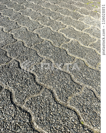 Patterned ground Patterned ground 116028851